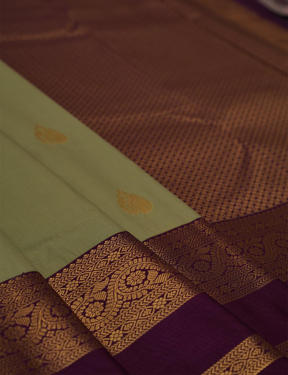 Pastel Green Soft Semi Silk Kanjivaram Saree with Purple Korvai Zari Border